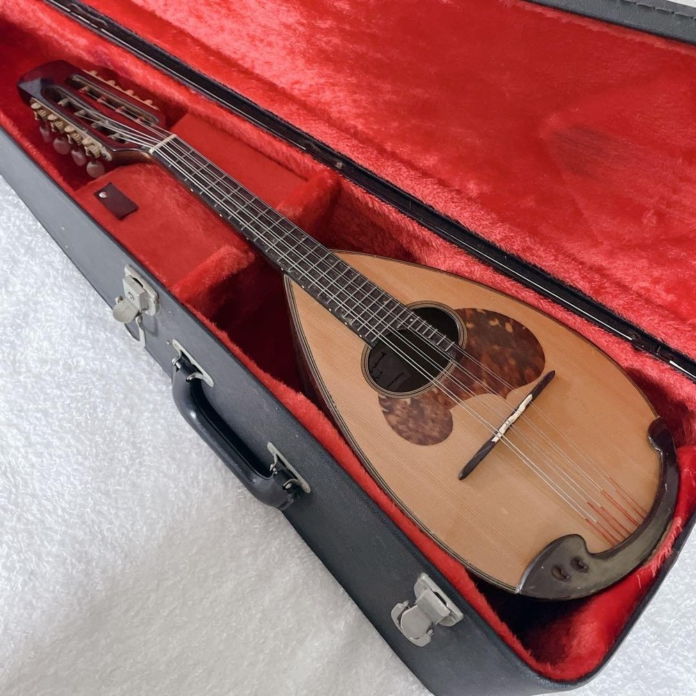 SUZUKI Mandolin M-60 with hard case