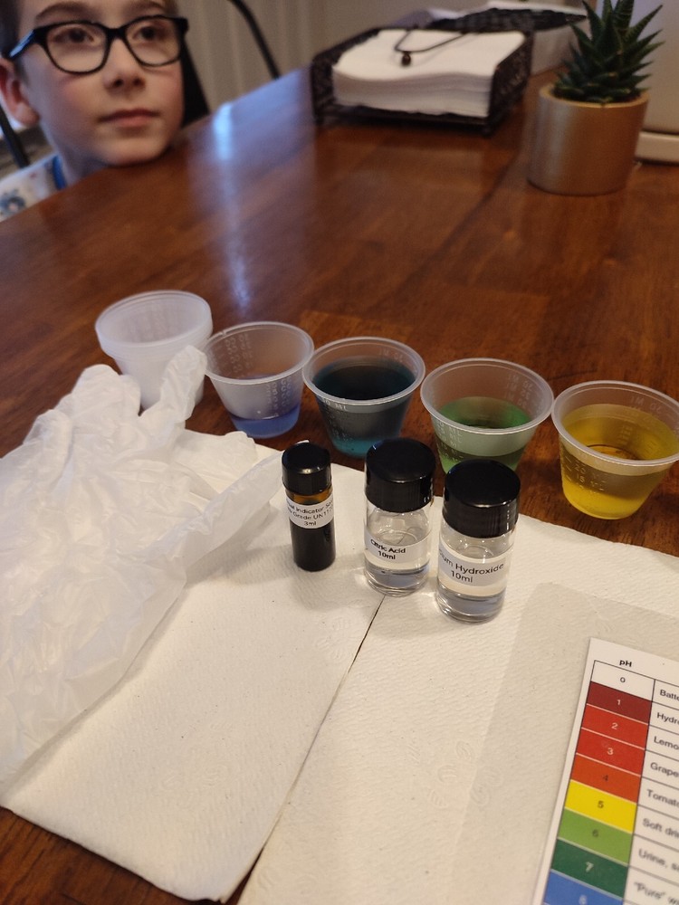 Universal Indicator Ph Experiment Kit With Acid And Base Complete, Ready To Use.