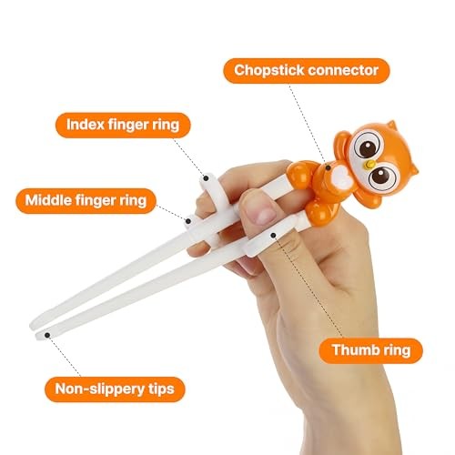 Chopsticks, Training Chopsticks, Learning, Beginner, Brain Training, Owl