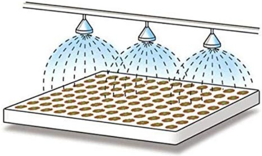 Rockwool Grow Cubes Starter Sheets for Cloning Seed Starting Hydroponic