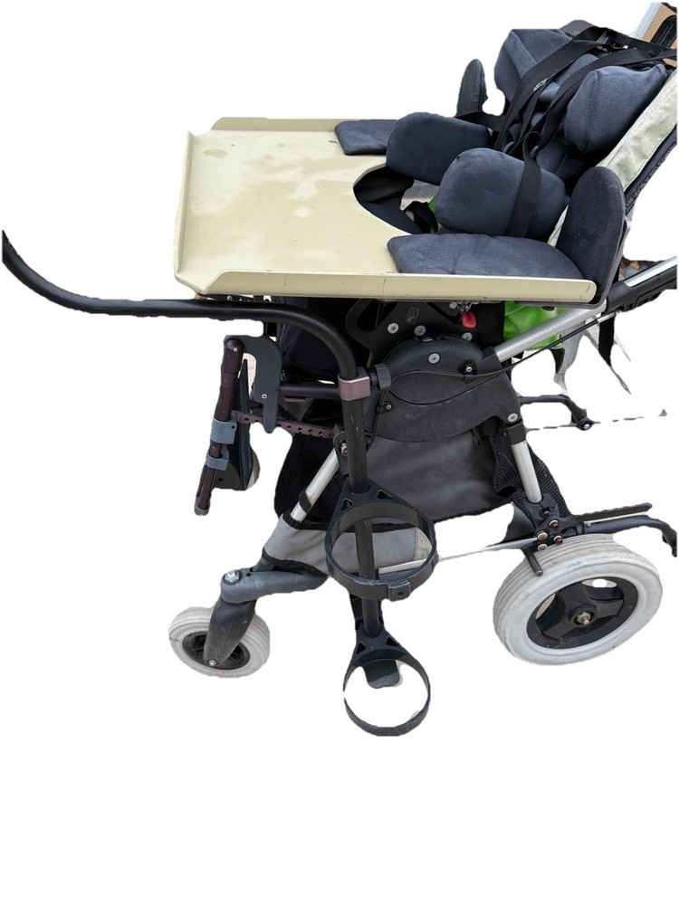 Special Needs Kid Kart Used