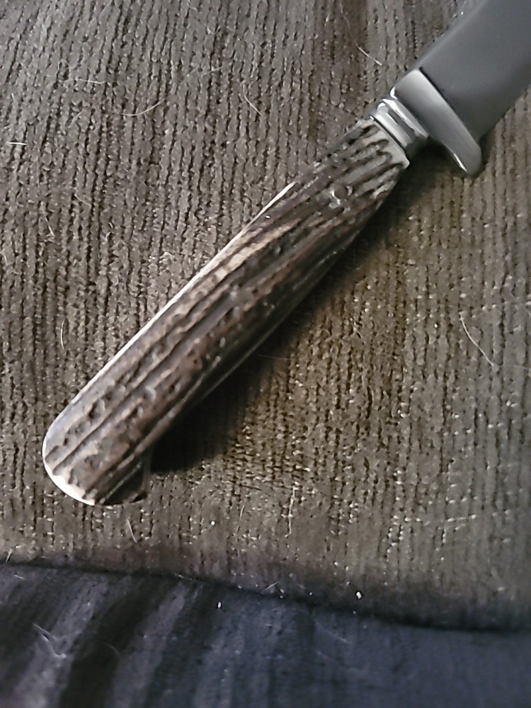 Solingen Germany Rostfrei Hunting Knife, Stag Handle