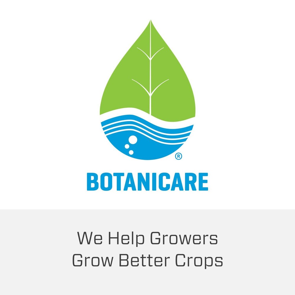 Botanicare Silica Blast - Liquid Supplement, For Use in Containers or Hydroponic