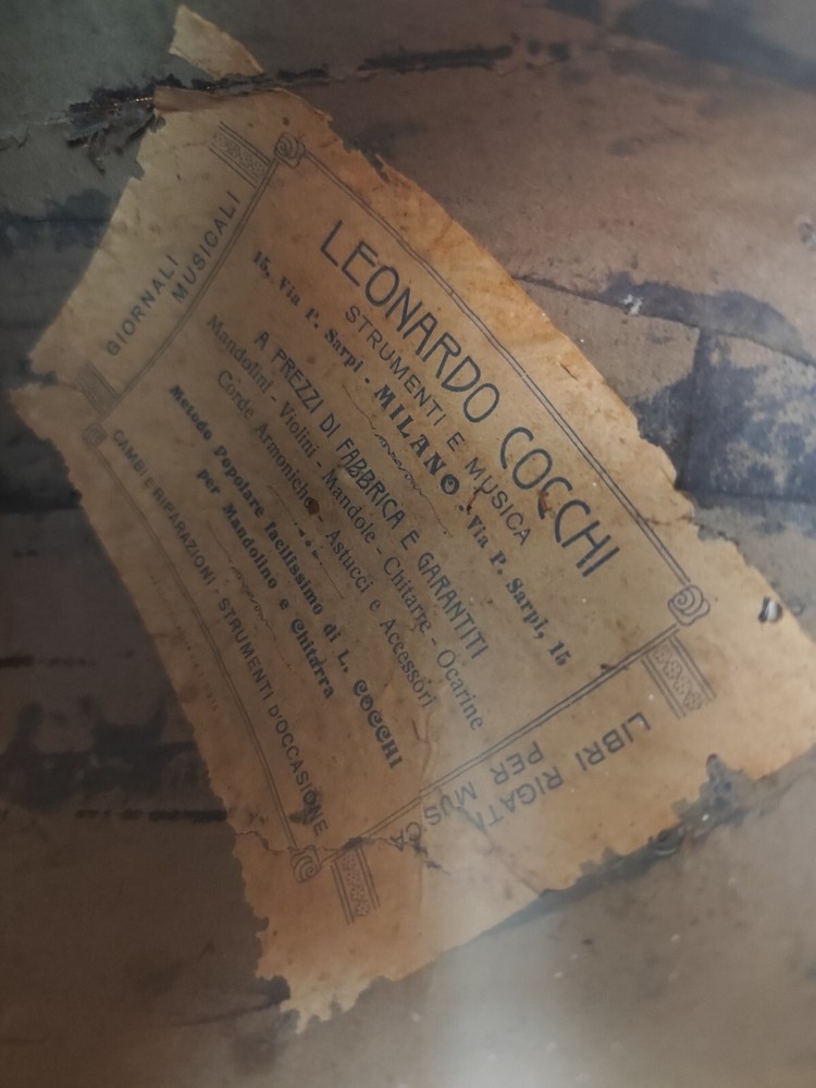 Leonardo Cocchi 1920 Milan 4/4 Mandolin 曼陀林 만돌린マンドリン