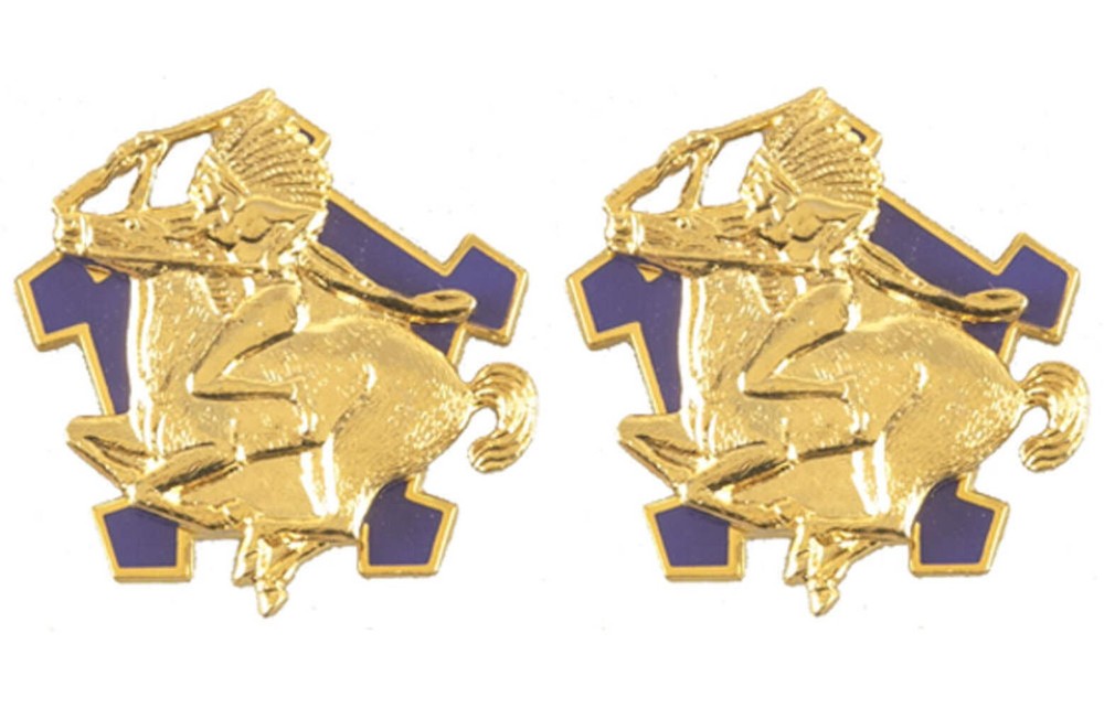 9th Cavalry Distinctive Unit Insignia - Pair