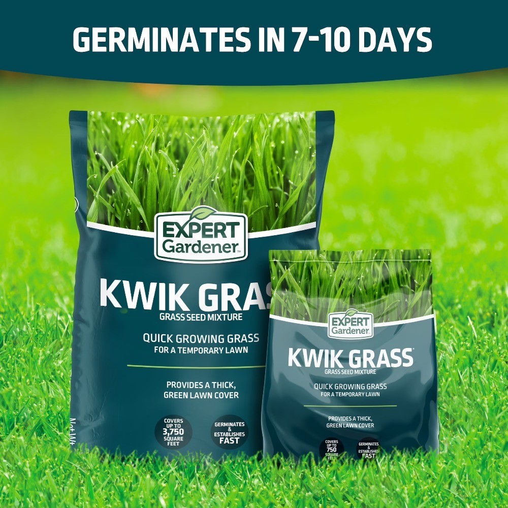 Grass Seed Mix for Sun to Partial Shade Coverage, 3 lb Bag