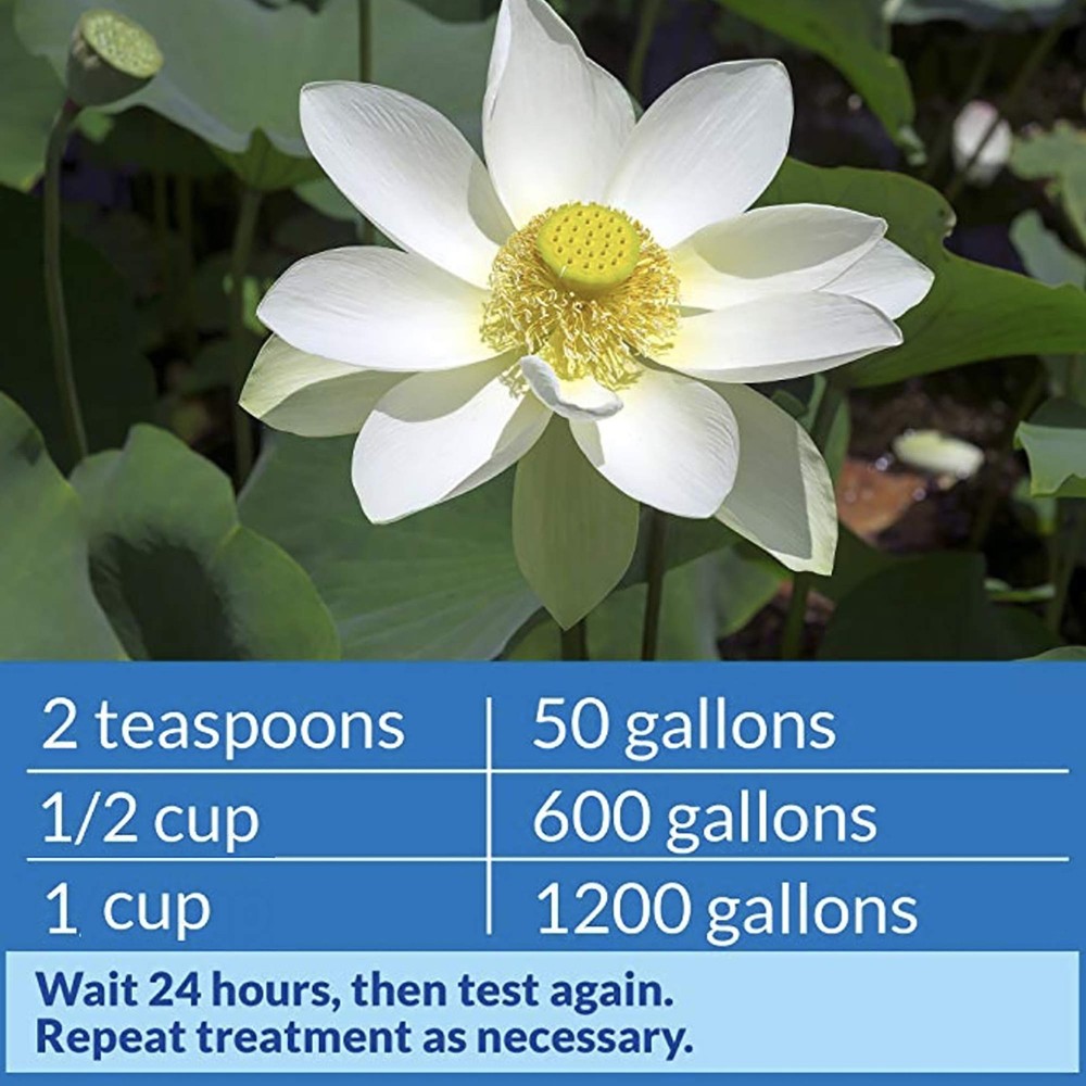 API POND pH UP Pond Water pH Raising Solution 16oz Bottle