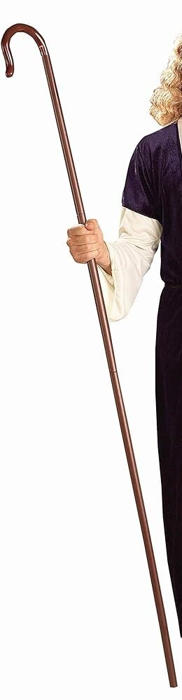 SHEPHERDS CANE PLASTIC ADJUSTABLE TO 68''
