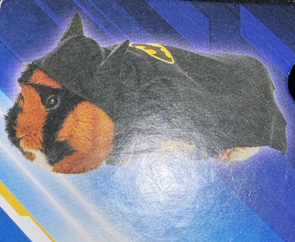 Rubie's - Batman Small Pet Costume