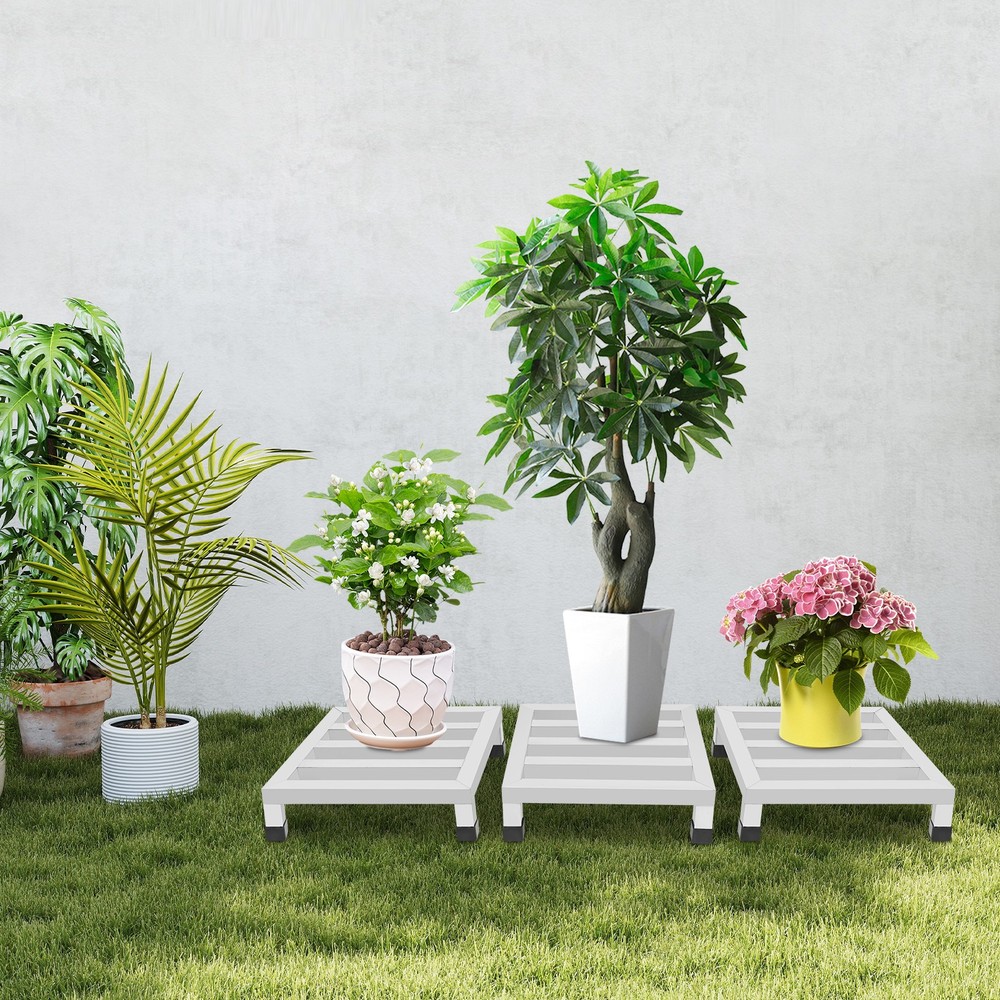 3-Piece Stainless Steel Shelf Set, 700 Lbs Capacity, Rust-Resistant Storage