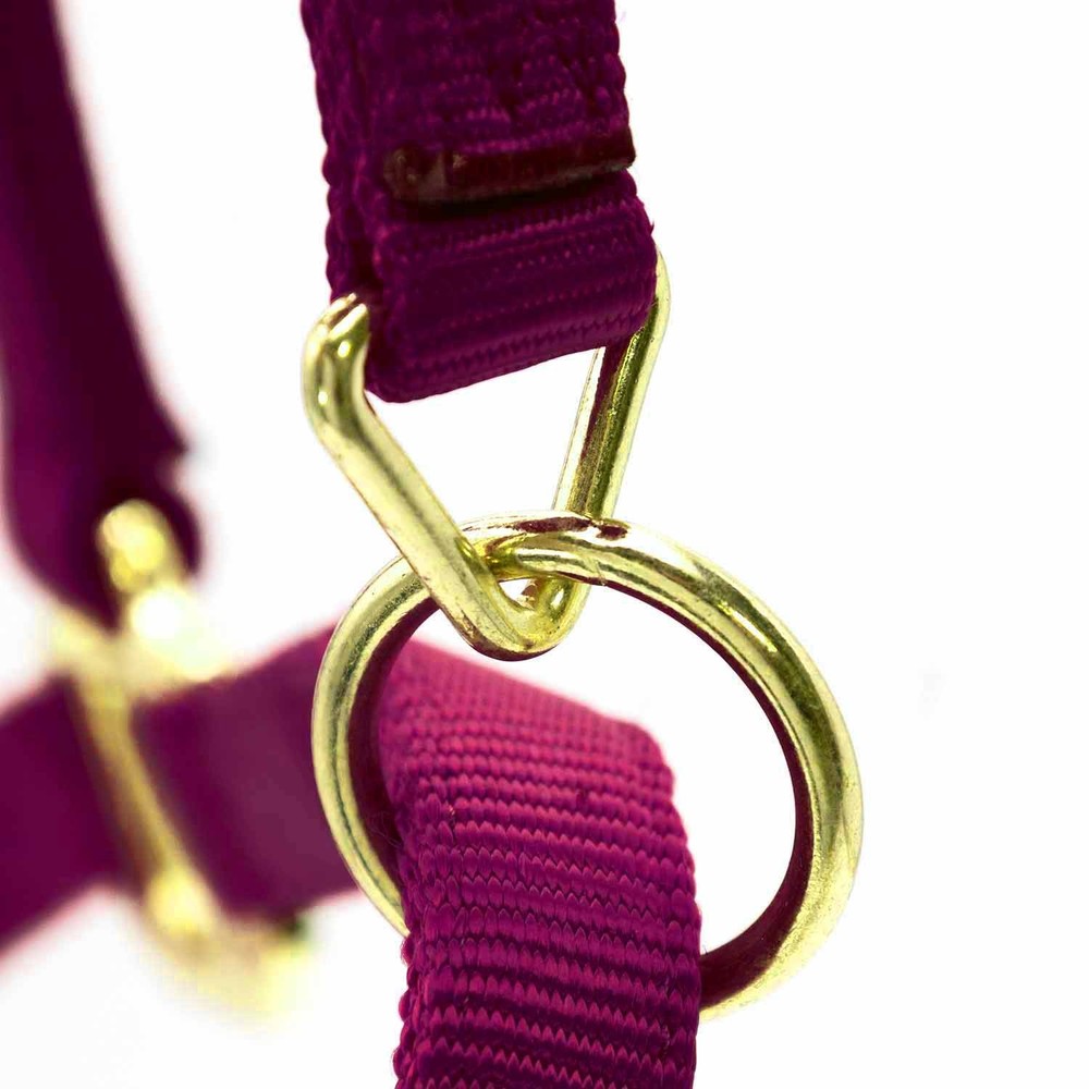 Adj Large Horse Halter Wine