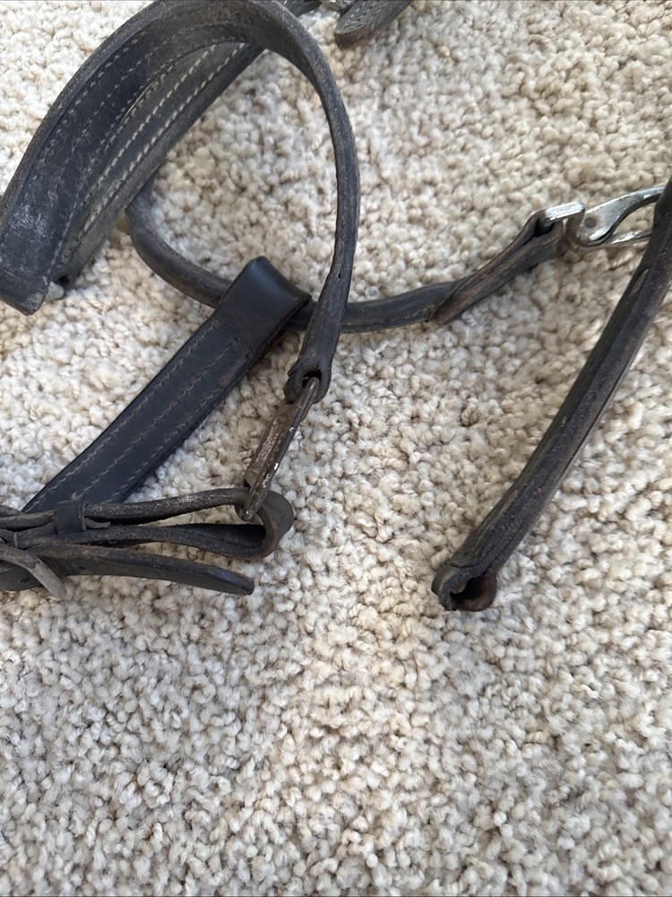 BROKEN Leathed Horse Size Halter - Use For Hardware