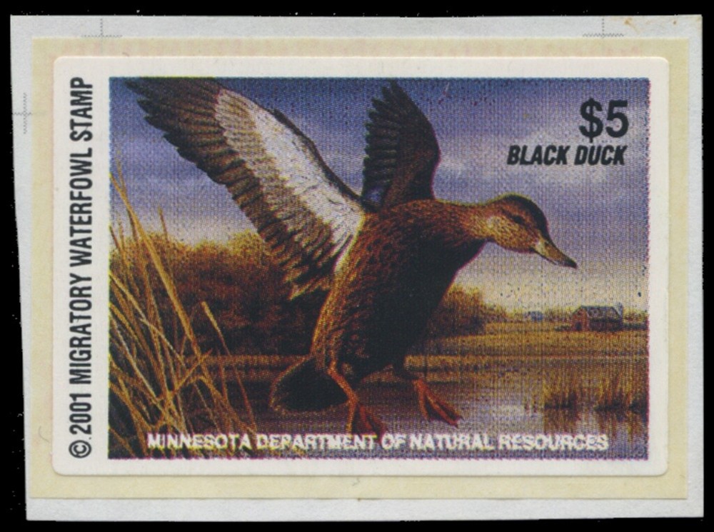 2001  Minnesota State Duck Stamp Mint Never Hinged. Original Gum