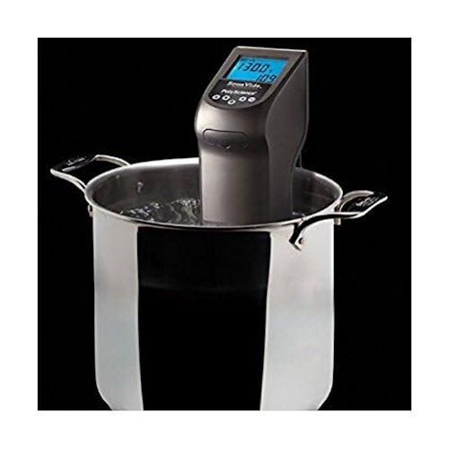 PolyScience Creative Series Sous Vide Immersion Circulator 120V