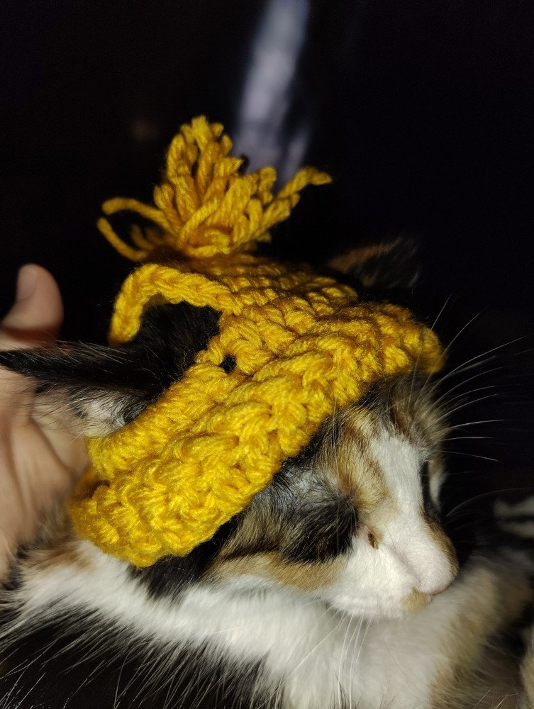 Crochet Cat Boggins