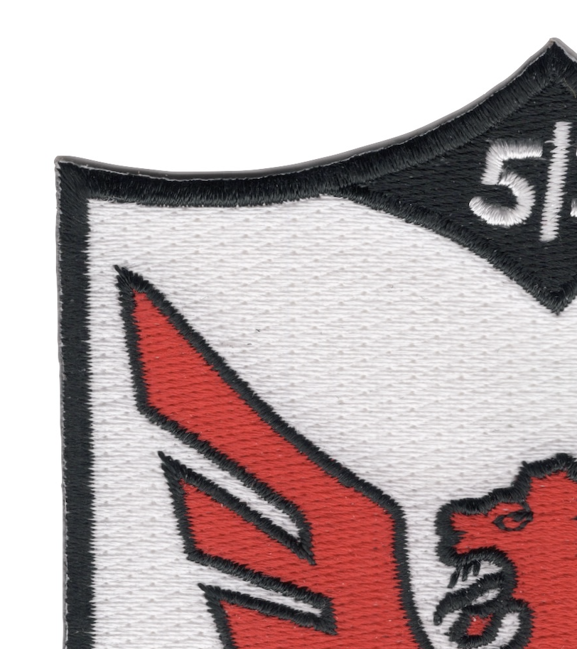 513th Fighter INTCP Squadron Patch