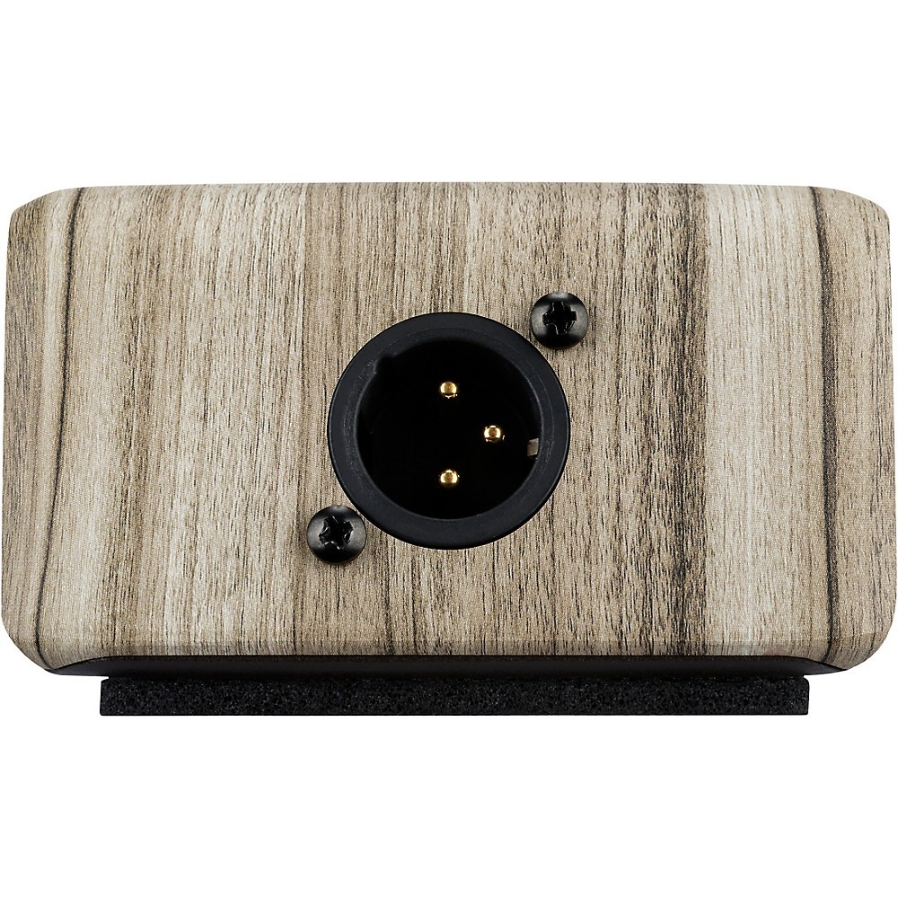 LR Baggs Align Active Acoustic DI