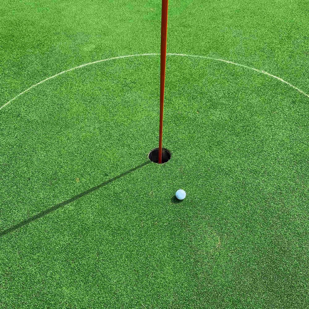 65x3 Ft Artificial Grass Turf Mat