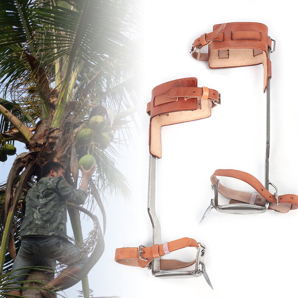 Tree Climbing Gear Kit for Tree Work 200KG Tree Climbing Tool with Tree Spikes
