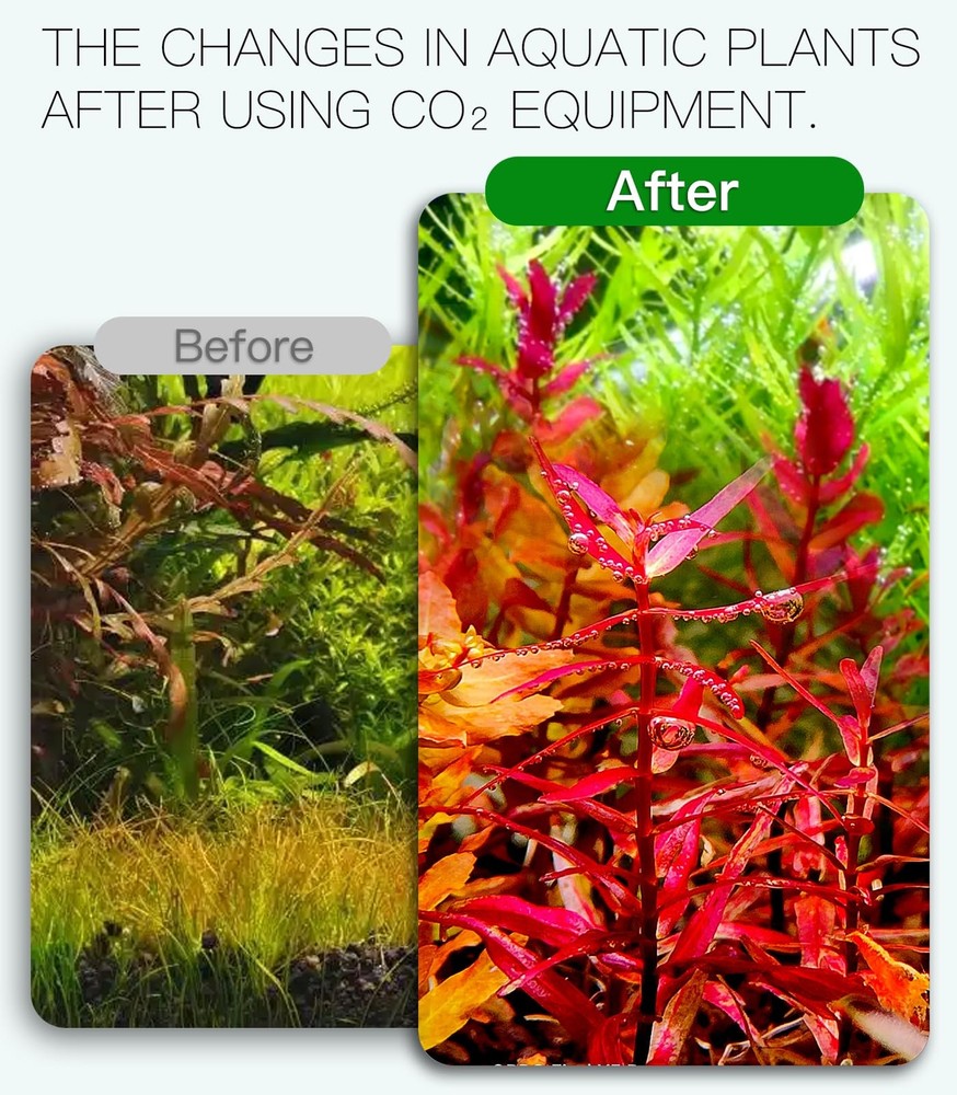 Aquarium CO2 Generator Kit Double Pressurization Enhanced Version, G700S