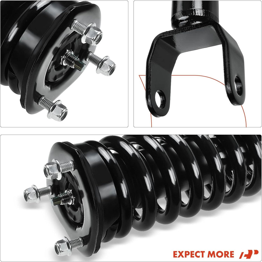 Front Pair (2) Complete Strut & Coil Spring Assembly Compatible with Dodge Dakot