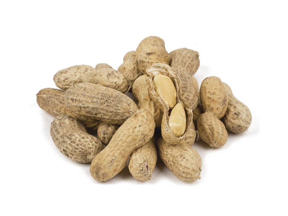 PEANUTS - Roasted Unsalted Peanuts In Shell - Select Weight