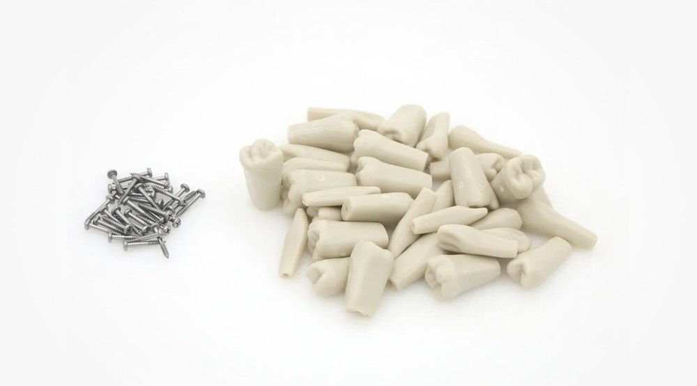 ADC EXAM teeth For Columbia  Dentoform - 50 pack