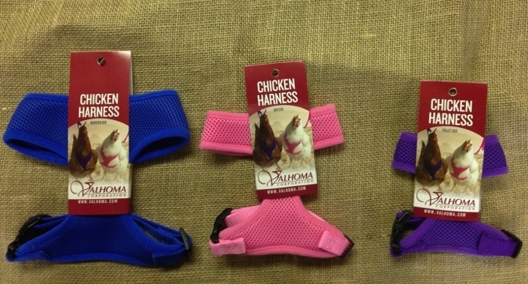 Chicken Harness And/Or Leash