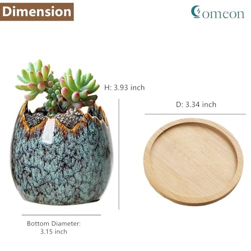 Succulent Pots with Drainage Half Dragon Egg Shell Design Ceramic Dragon Egg-1