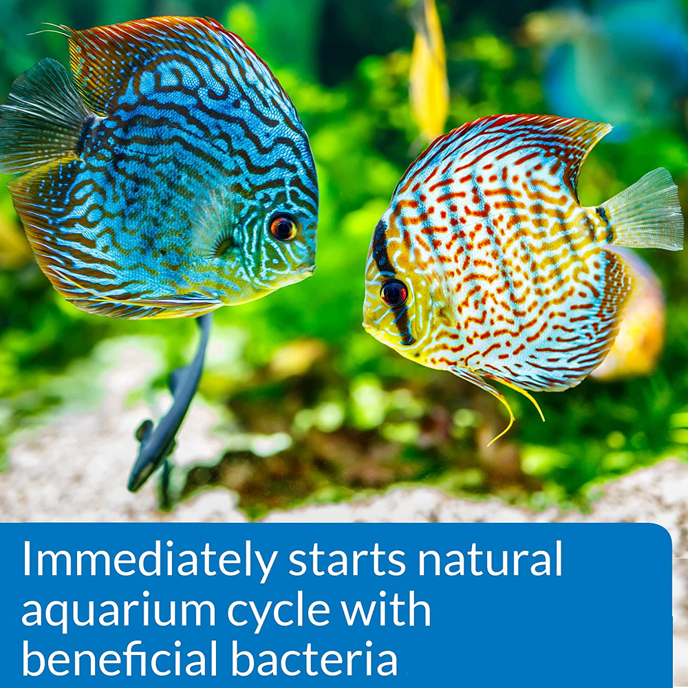 API QUICK START Freshwater and Saltwater Aquarium Nitrifying Bacteria 16-Ounce