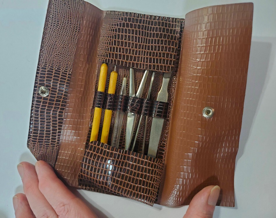 Vintage 6 Pc. HAMILTON BELL Dissection Kit With Folding Case Germany Biology