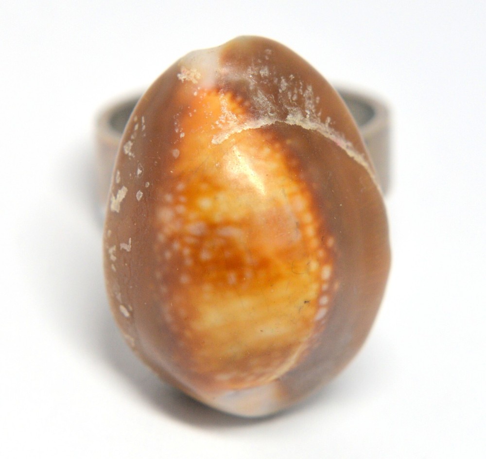 ARTISAN 900 SILVER HEAVY RING WITH COWRIE SHELL