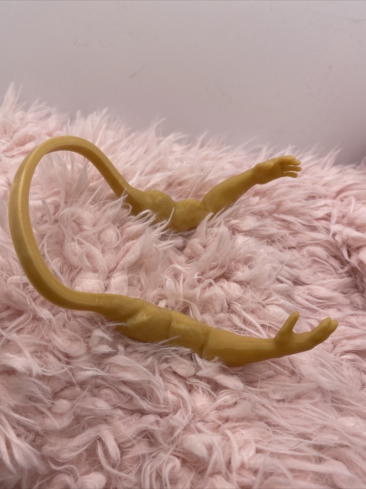 3D Printed Animal Arms