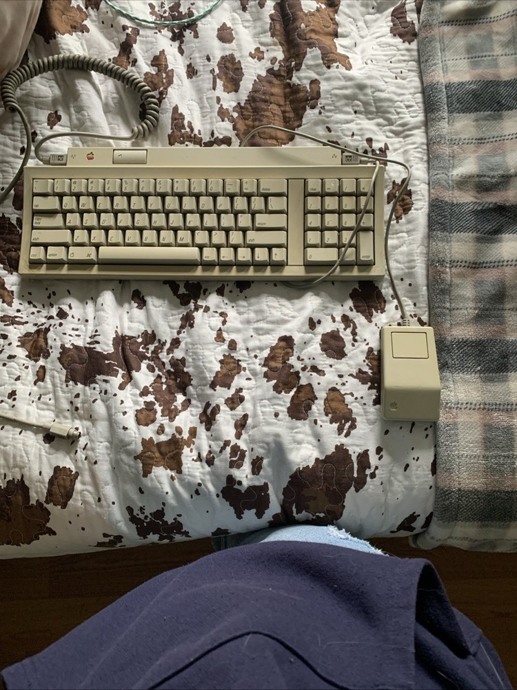 Apple Computer