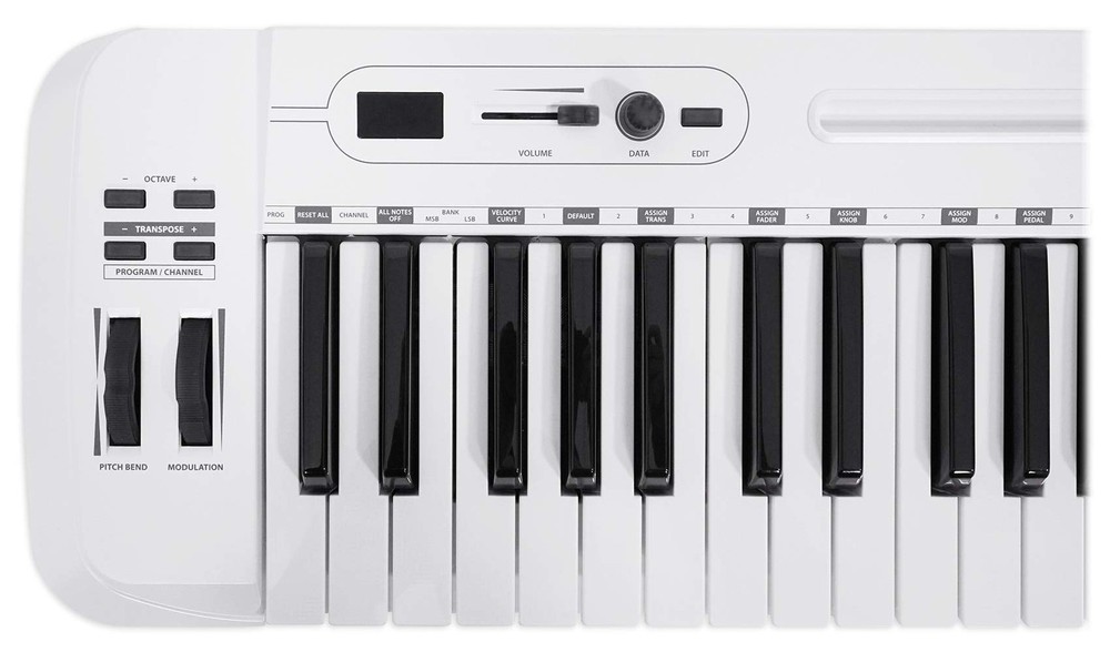 Samson Carbon 49 USB MIDI Controller (B Stock)