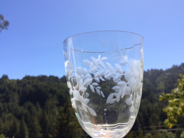Victorian etched glasses 8
