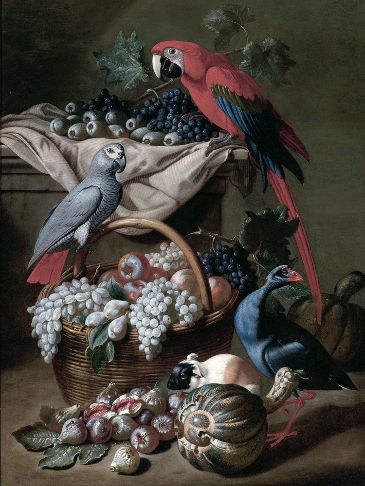 STILL LIFE WITH TWO PARROTS Tile Mural Kitchen Bathroom Backsplash Ceramic 6x8