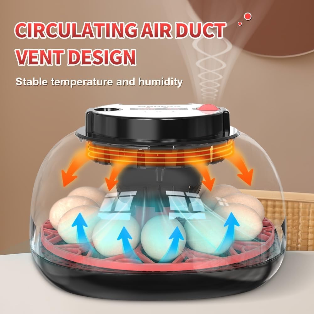 incubators for hatching eggs，12 Egg Incubator,egg incubator with automatic eg...