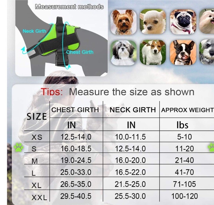NWT Bolux Dog Harness Size S - Green- No Pull, Adjustable, Reflective
