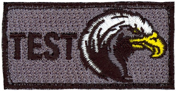 USAF TEST PILOT SCHOOL CLASS 2016 A  - TEST EAGLE PENCIL POCKET TAB - PATCH