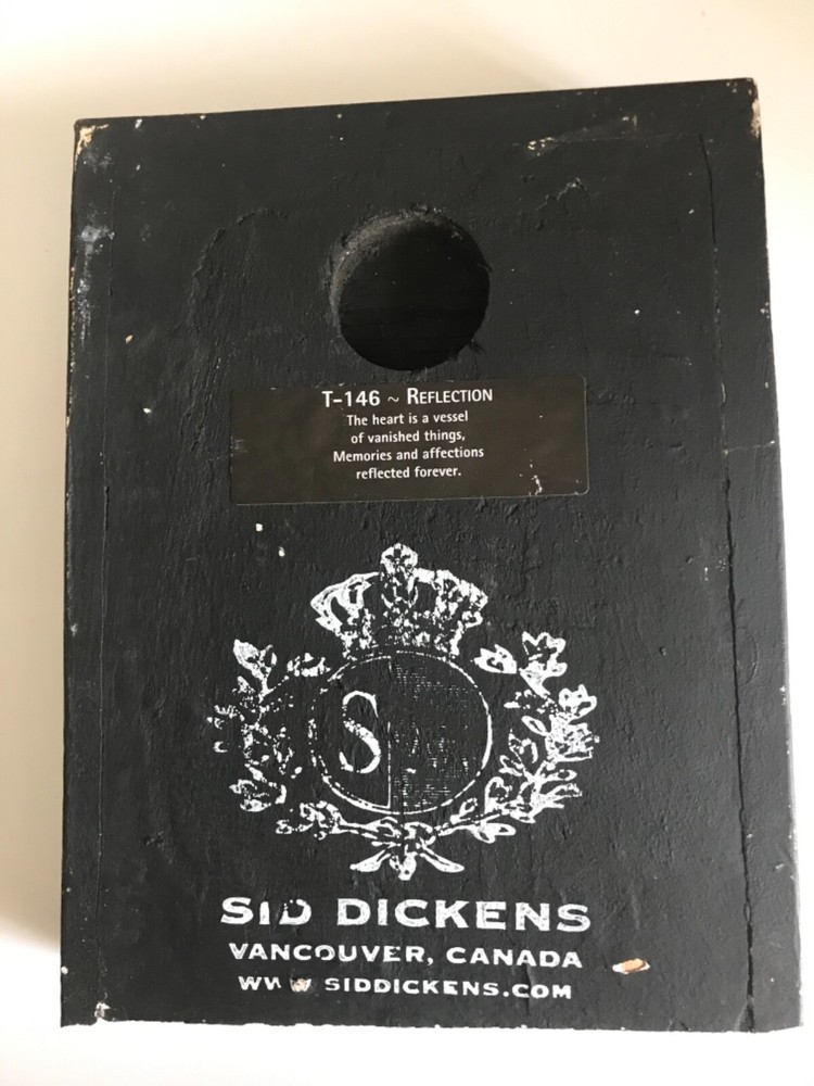 Sid Dickens Memory Block Reflection T146 Released 2004 Retired 2007 Damaged!