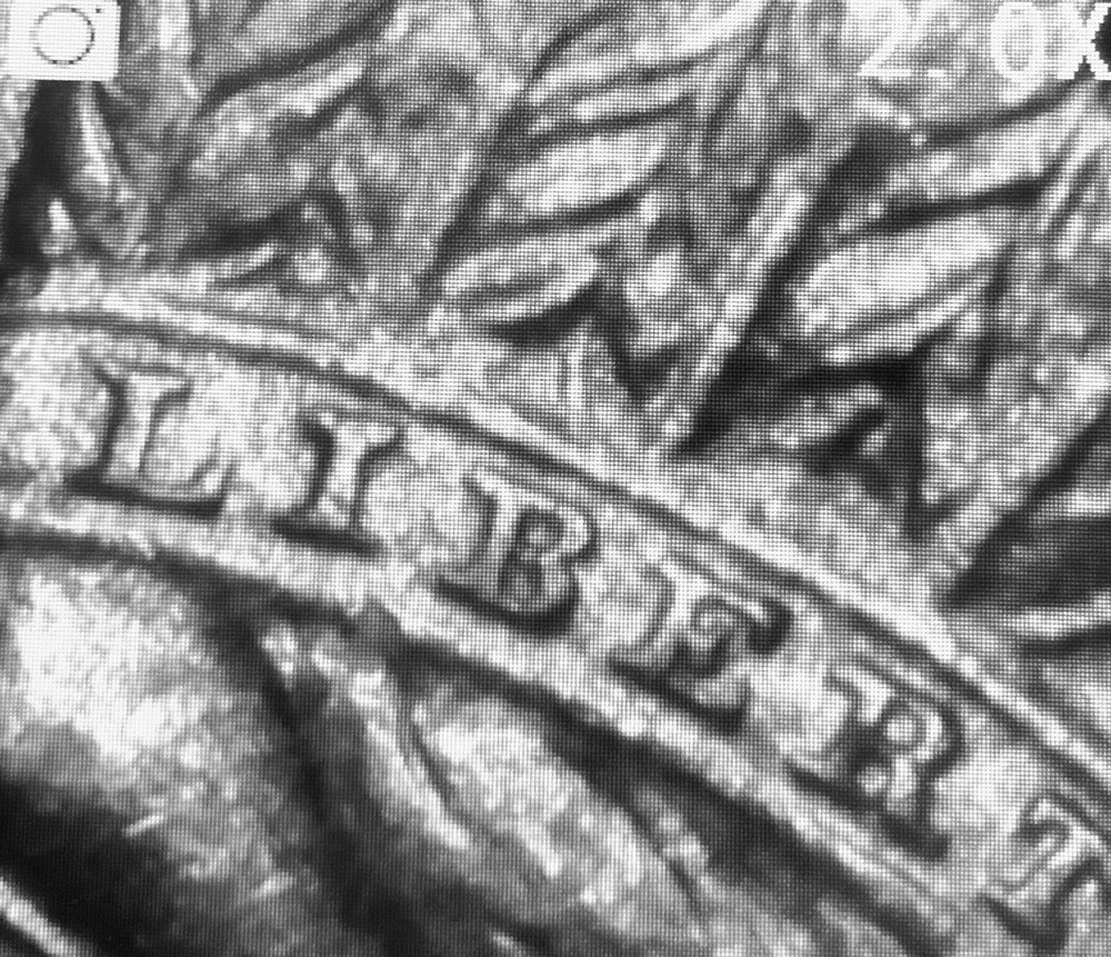 1906 1C RB Indian Cent Brilliant Uncirculated