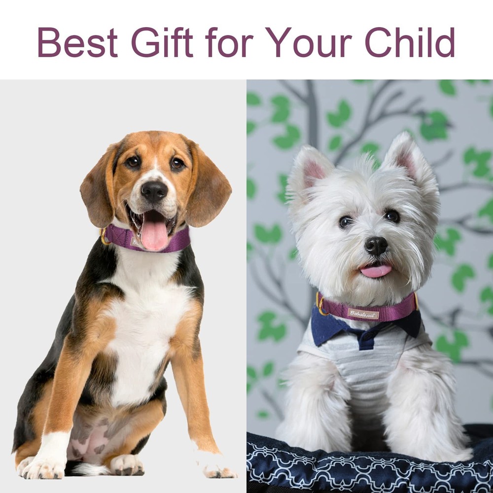 Nylon Dog Collar - Adjustable Deep Purple Soft Webbing Dog Collars for Small ...