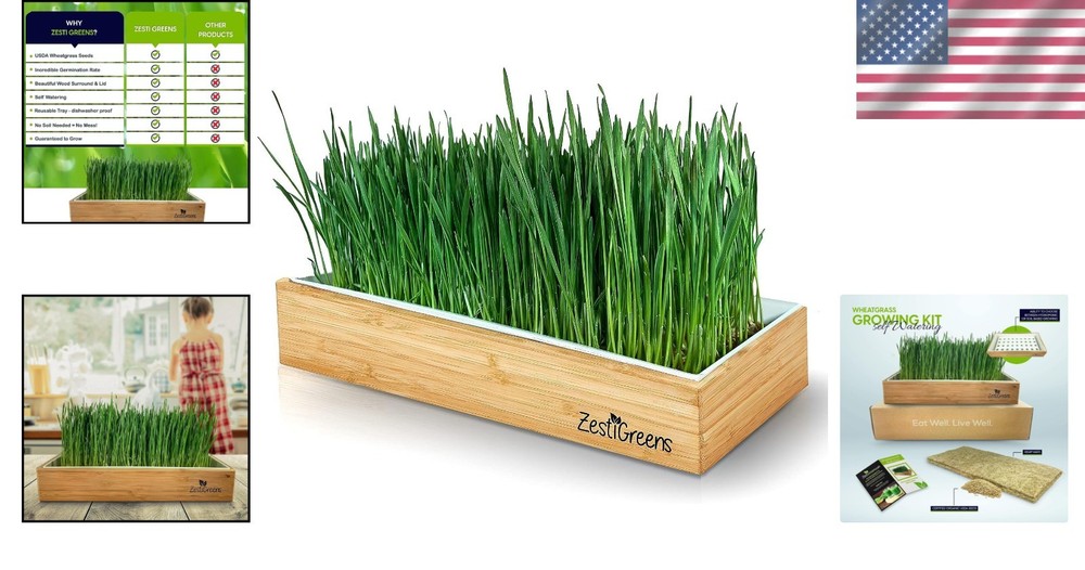 Complete Wheatgrass Growing Kit with Biodegradable Mats