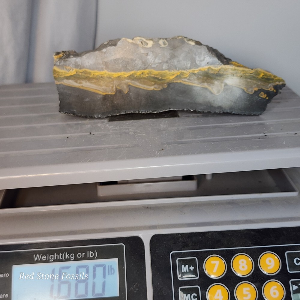 Bumblebee Jasper Slab