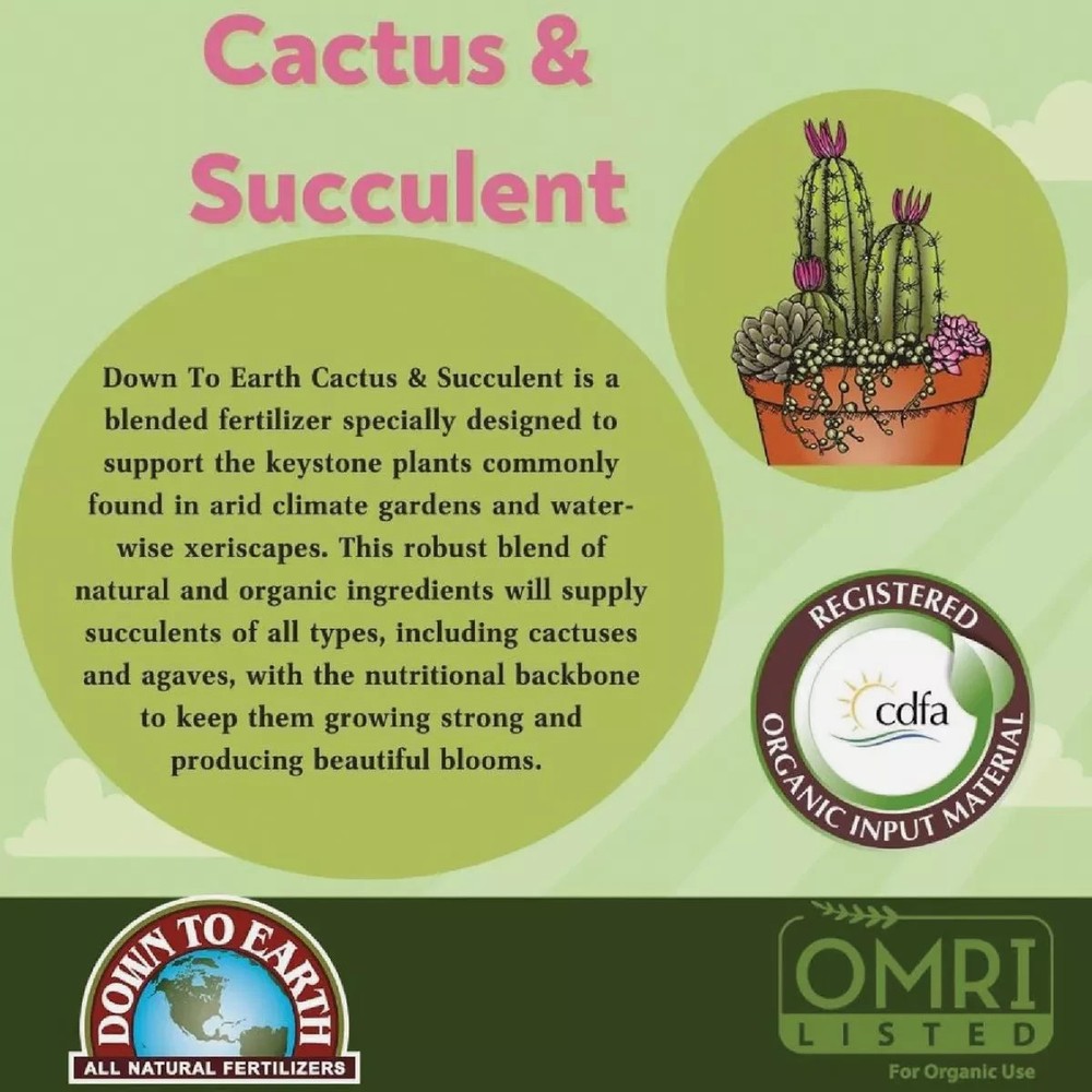 Down To Earth 2-4-8 Cactus Mix 5 LB