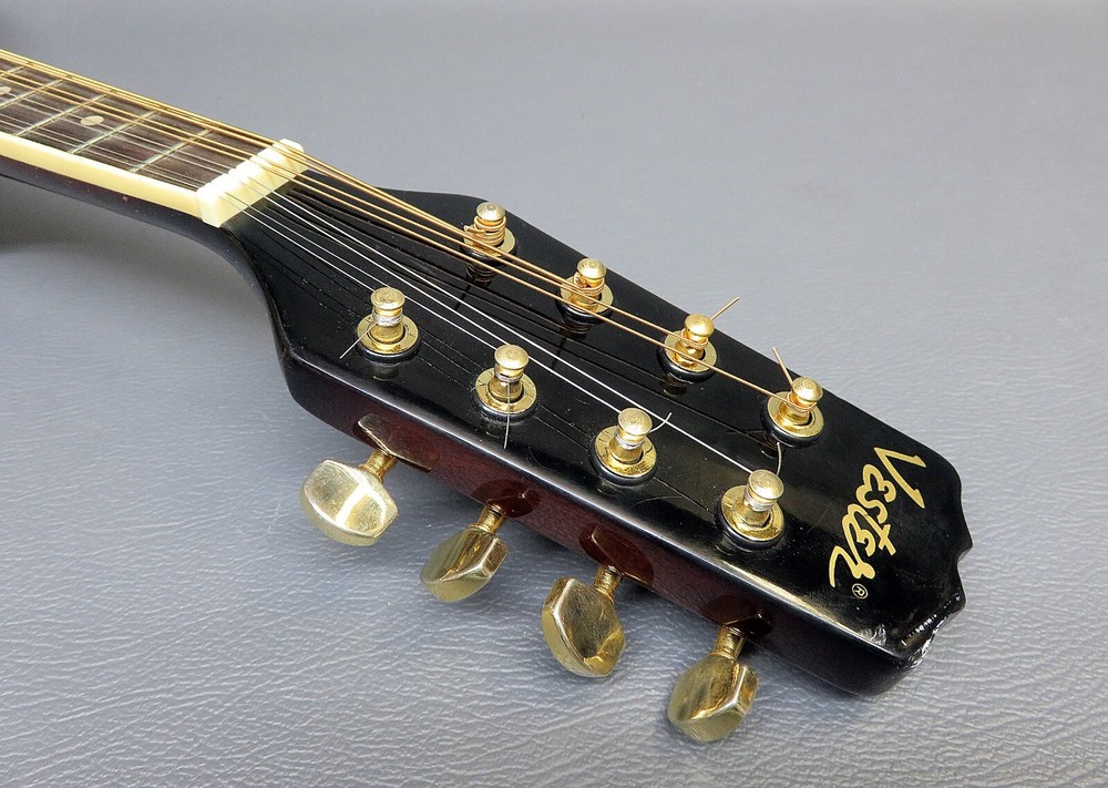 Mandolin Vester