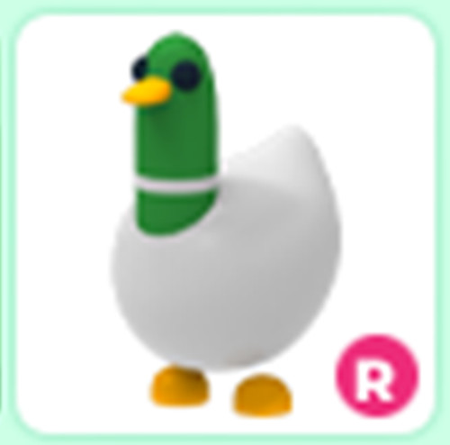 Silly Duck - Adopt right now