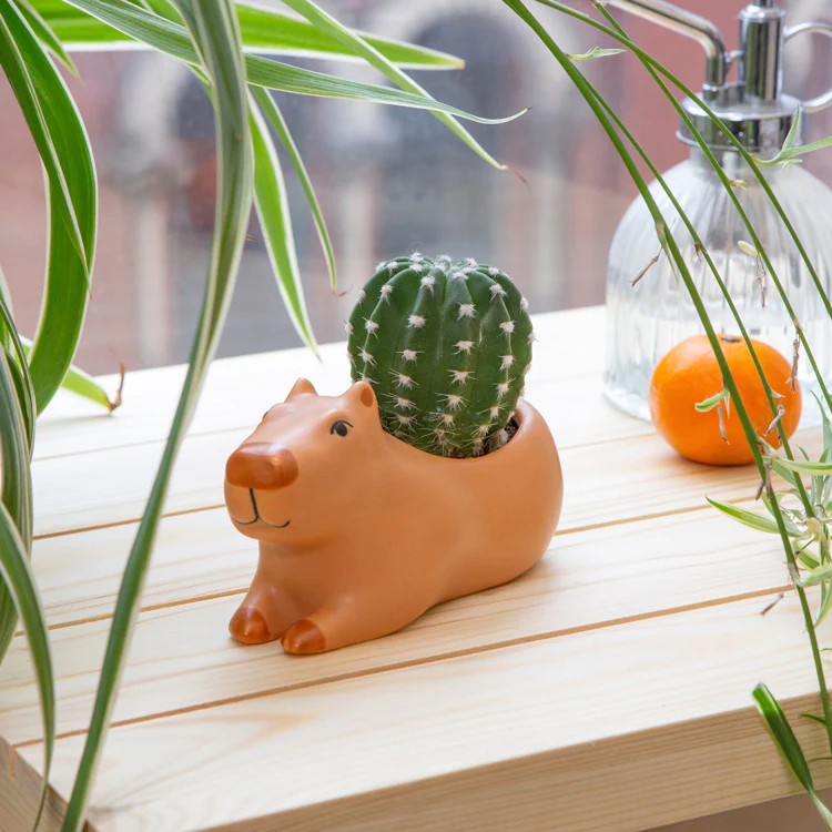 Kikkerland Small Capybara Planter