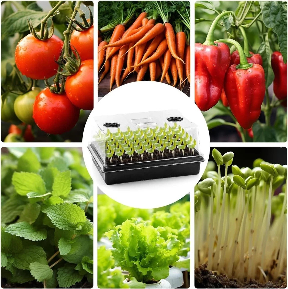 4-Pack Seed Starter Trays with Humidity Domes for Microgreens & Herbs